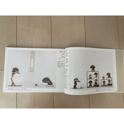 Photo3: No.GF album 49   Gafu ten book No.49 (2024)