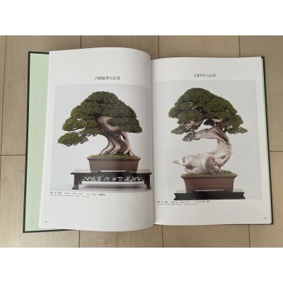 Photo2: No.TA album 45