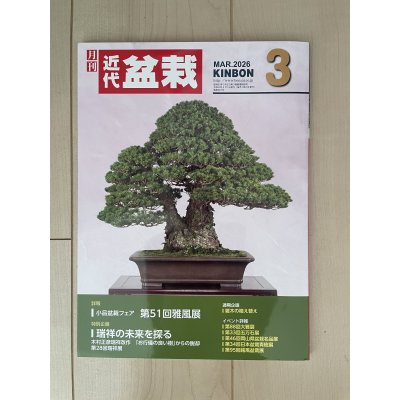 Photo1: No.Kinbon Air  Kinbon subscription by airmail Annual subscription (12 copies) Postage by airmail