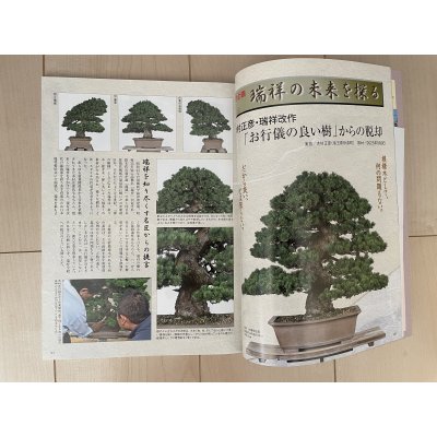 Photo2: No.Kinbon Air  Kinbon subscription by airmail Annual subscription (12 copies) Postage by airmail