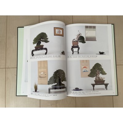 Photo3: No.TA album 45