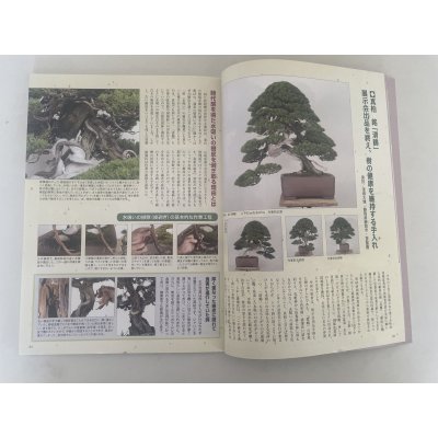 Photo2: No.Kinbon Sea  Kinbon subscription by sea Annual subscription ( 12 copies ) Postage by sea