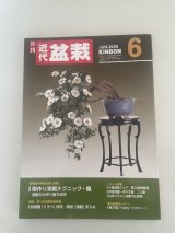 No.Kinbon Air  Kinbon subscription by airmail Annual subscription (12 copies) Postage by airmail