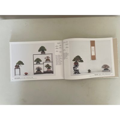 Photo3: No.GF album 51   Gafu ten book No.51 (2026)