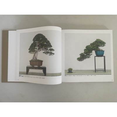 Photo4: No.KF100   Kokufu album 2026 (Total page 400)