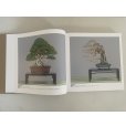 Photo5: No.KF100  <br>Kokufu album 2026 (Total page 400) (5)