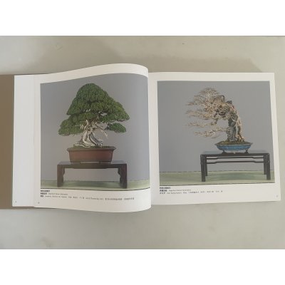 Photo5: No.KF100   Kokufu album 2026 (Total page 400)