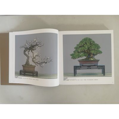 Photo6: No.KF100   Kokufu album 2026 (Total page 400)