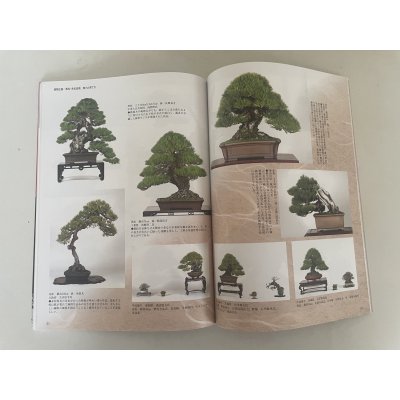 Photo2: No.Kinbon Sea  Kinbon subscription by sea Annual subscription ( 12 copies ) Postage by sea