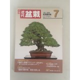 No.Kinbon Air  Kinbon subscription by airmail Annual subscription (12 copies) Postage by airmail