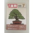Photo1: No.Kinbon Sea <br>Kinbon subscription by sea Annual subscription ( 12 copies ) Postage by sea (1)