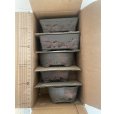 Photo1: No.12A-5A <br>Bonsai pot set, 5pcs (1)
