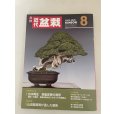 Photo1: No.Kinbon Sea <br>Kinbon subscription by sea Annual subscription ( 12 copies ) Postage by sea (1)