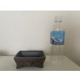 Photo6: No.12A-5A <br>Bonsai pot set, 5pcs (6)