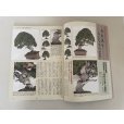 Photo2: No.Kinbon Sea <br>Kinbon subscription by sea Annual subscription ( 12 copies ) Postage by sea (2)