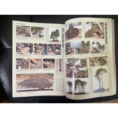 Photo3: No.Kinbon Air  Kinbon subscription by airmail Annual subscription (12 copies) Postage by airmail