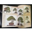 Photo2: No.Kinbon Air <br>Kinbon subscription by airmail Annual subscription (12 copies) Postage by airmail (2)