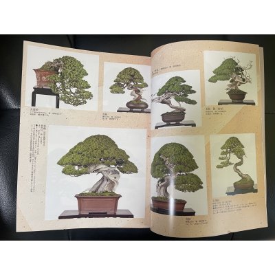 Photo2: No.Kinbon Air  Kinbon subscription by airmail Annual subscription (12 copies) Postage by airmail
