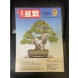 Photo1: No.Kinbon Air <br>Kinbon subscription by airmail Annual subscription (12 copies) Postage by airmail (1)
