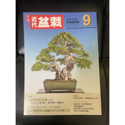 Photo1: No.Kinbon Air  Kinbon subscription by airmail Annual subscription (12 copies) Postage by airmail