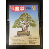 No.Kinbon Sea  Kinbon subscription by sea Annual subscription ( 12 copies ) Postage by sea