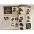 Photo3: No.Kinbon Sea <br>Kinbon subscription by sea Annual subscription ( 12 copies ) Postage by sea (3)