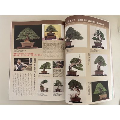 Photo3: No.Kinbon Sea  Kinbon subscription by sea Annual subscription ( 12 copies ) Postage by sea