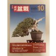 Photo2: No.Kinbon Sea <br>Kinbon subscription by sea Annual subscription ( 12 copies ) Postage by sea (2)