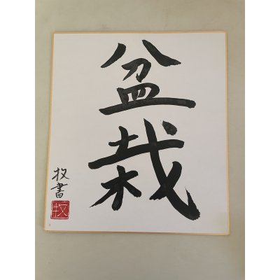 Photo1: No.TB1002  Caligraphy paper Bonsai"
