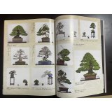 No.Kinbon Air  Kinbon subscription by airmail Annual subscription (12 copies) Postage by airmail
