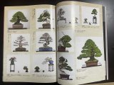 No.Kinbon Air  Kinbon subscription by airmail Annual subscription (12 copies) Postage by airmail