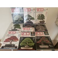 No.TB0706  Kinbon magazine bask issue, 9copies