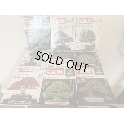 Photo1: No.TB0804  Kinbon magazine bask issue, 9copies