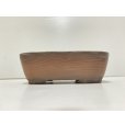 Photo2: No.DA41218<br>Bigei (2)