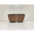 Photo3: No.DA41218<br>Bigei (3)