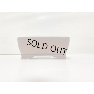 Photo2: No.DA41230 Bigei