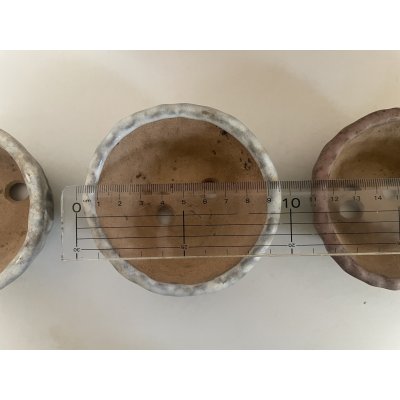 Photo6: No.TB0801  Bonsai pot with wooden box