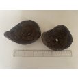 Photo2: No.TB0802 <br>Bonsai pot 2pcs set (2)