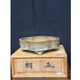 Photo1: No.MH6802 <br>Heian Kozan 辰砂木瓜鉢 (1)