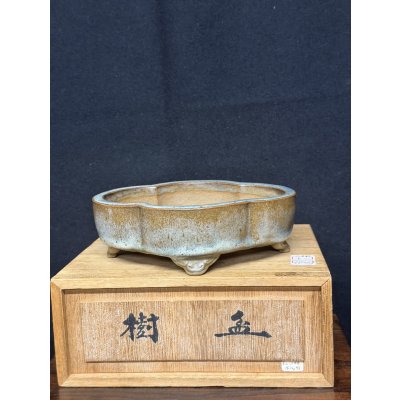 Photo1: No.MH6802  Heian Kozan 辰砂木瓜鉢