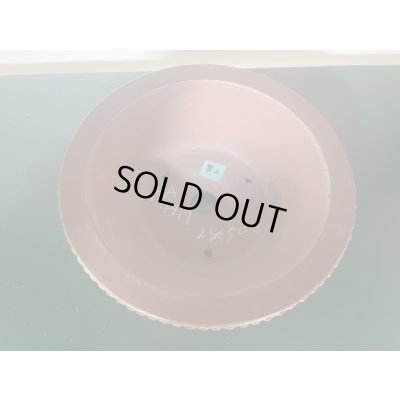 Photo2: No.KA4417 Bigei