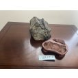 Photo3: No.SA6816<br>Sajigawa ishi (3)