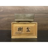 No.HYMT3904  Heian Tofukuji, Shidei Rectangular pot
