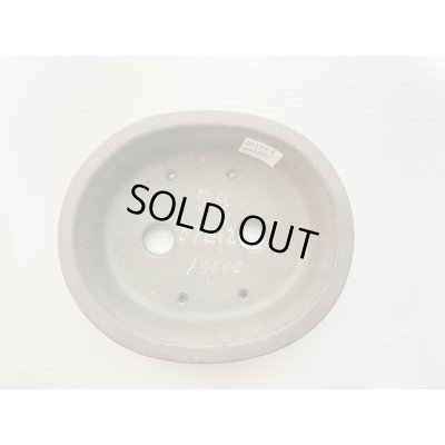 Photo3: No.DA5449 Reiho