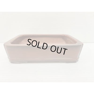 Photo1: No.DA5461 Bigei