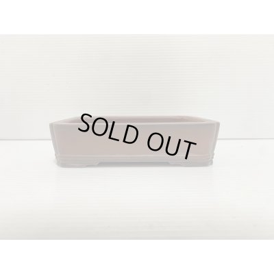 Photo2: No.DA5461 Bigei