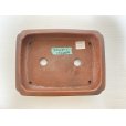 Photo3: No.DA5461<br>Bigei (3)