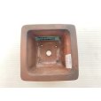 Photo3: No.DA5466<br>Bigei (3)