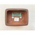 Photo3: No.DA5467<br>Bigei (3)