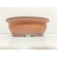 Photo2: No.DA5472<br>Bigei (2)